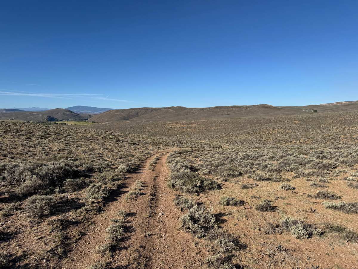 BLM 3102A photo 3