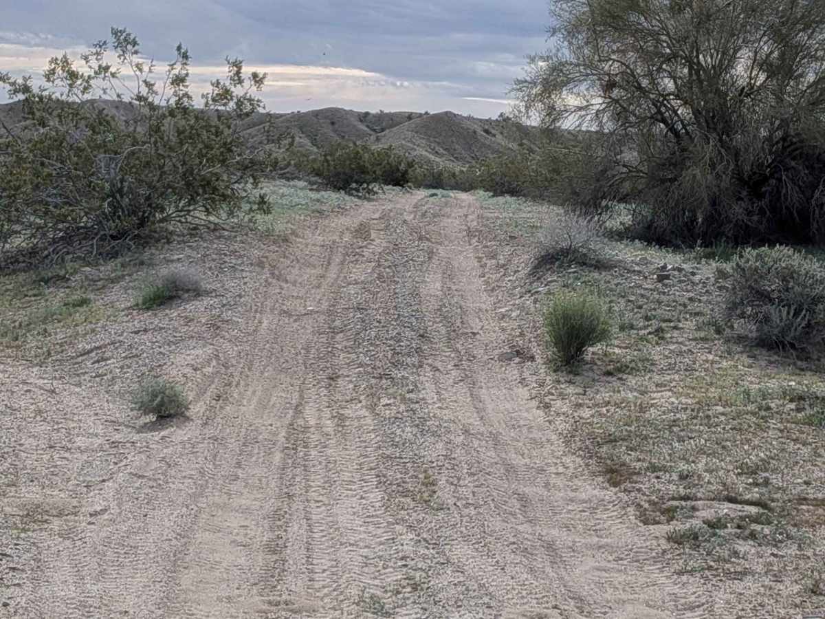 EC1238 Loop photo 5