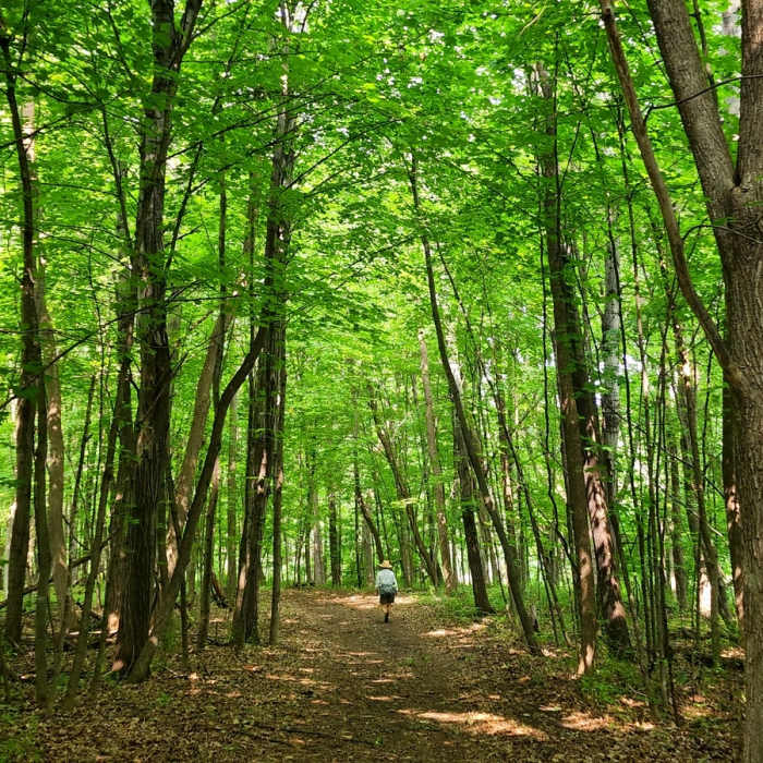 Near Lake Rebecca Dirt Loop