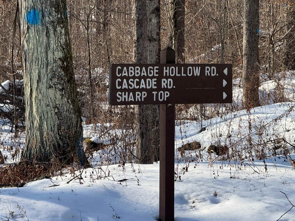 Cabbage Hollow Road photo 2
