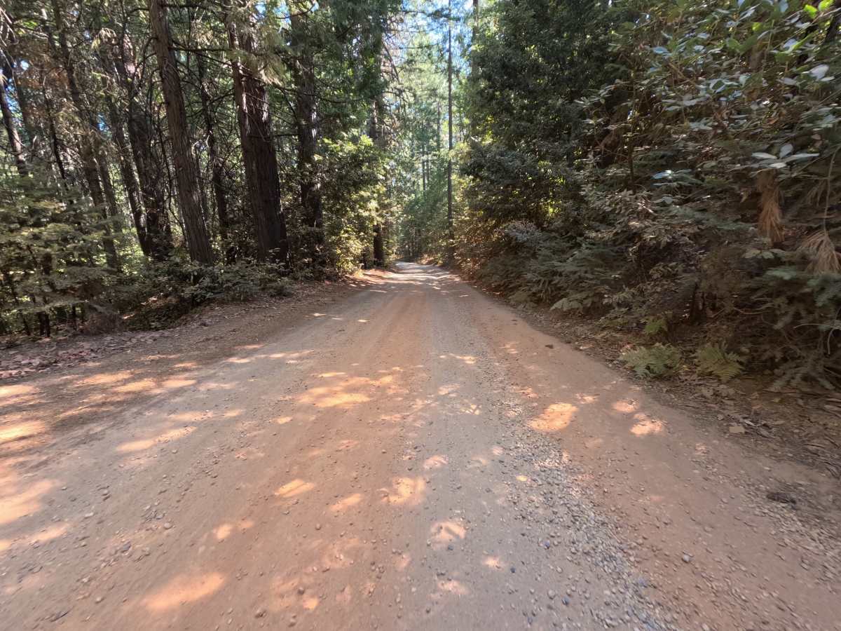 Bear Trap Springs Road - FS 69 photo 3