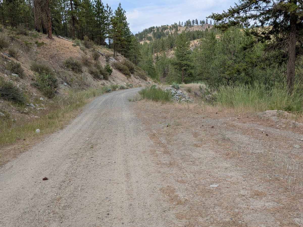 North Cook Mountain Road - South half trail photo