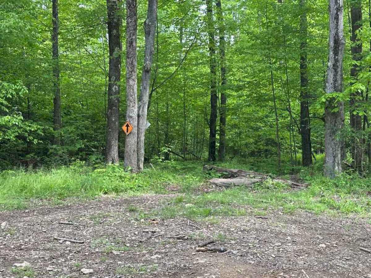 Orange Single Track G9 photo 5