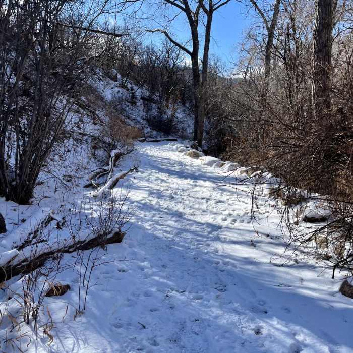Near Coyote Gulch and Creekbottom Loop