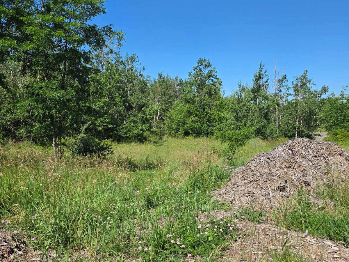 Single Track T photo 2