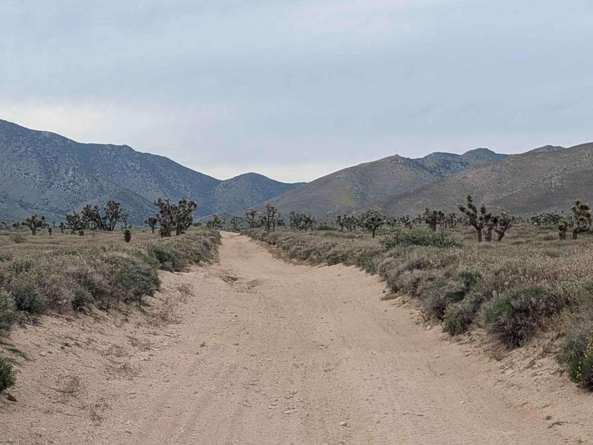 Horse Canyon BLM SC65 North photo 2