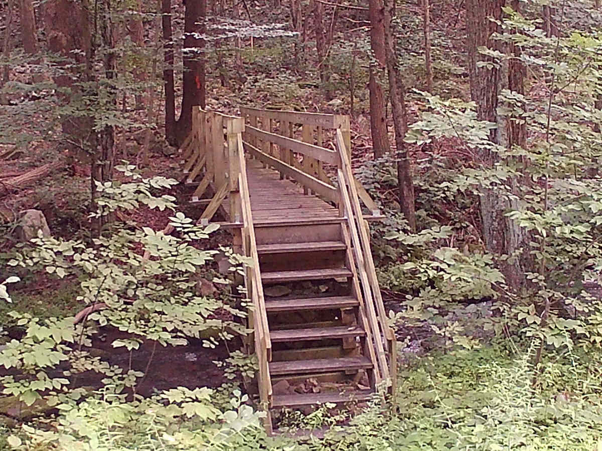 Cherry Run Road photo 3