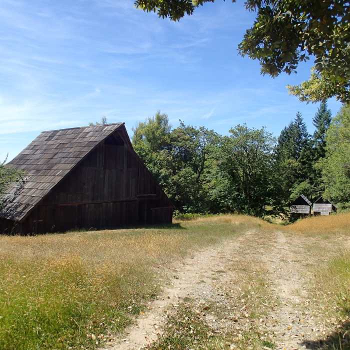 Near Lyons Ranch Trail