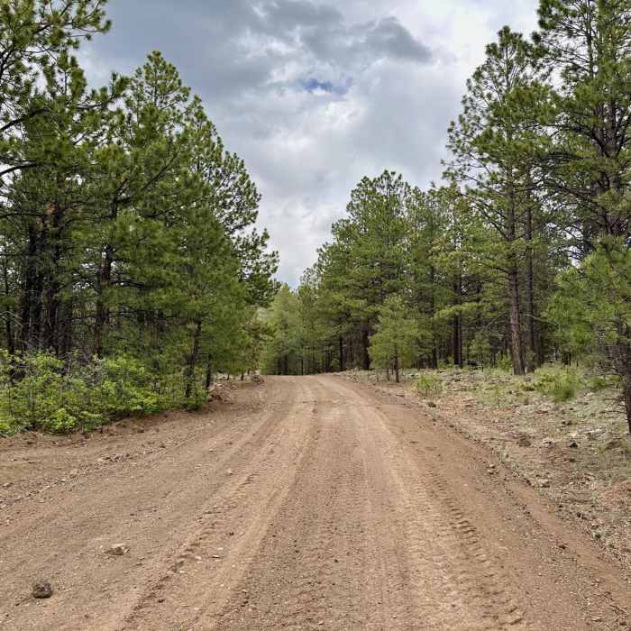 Near CDT: Mount Taylor Alternate