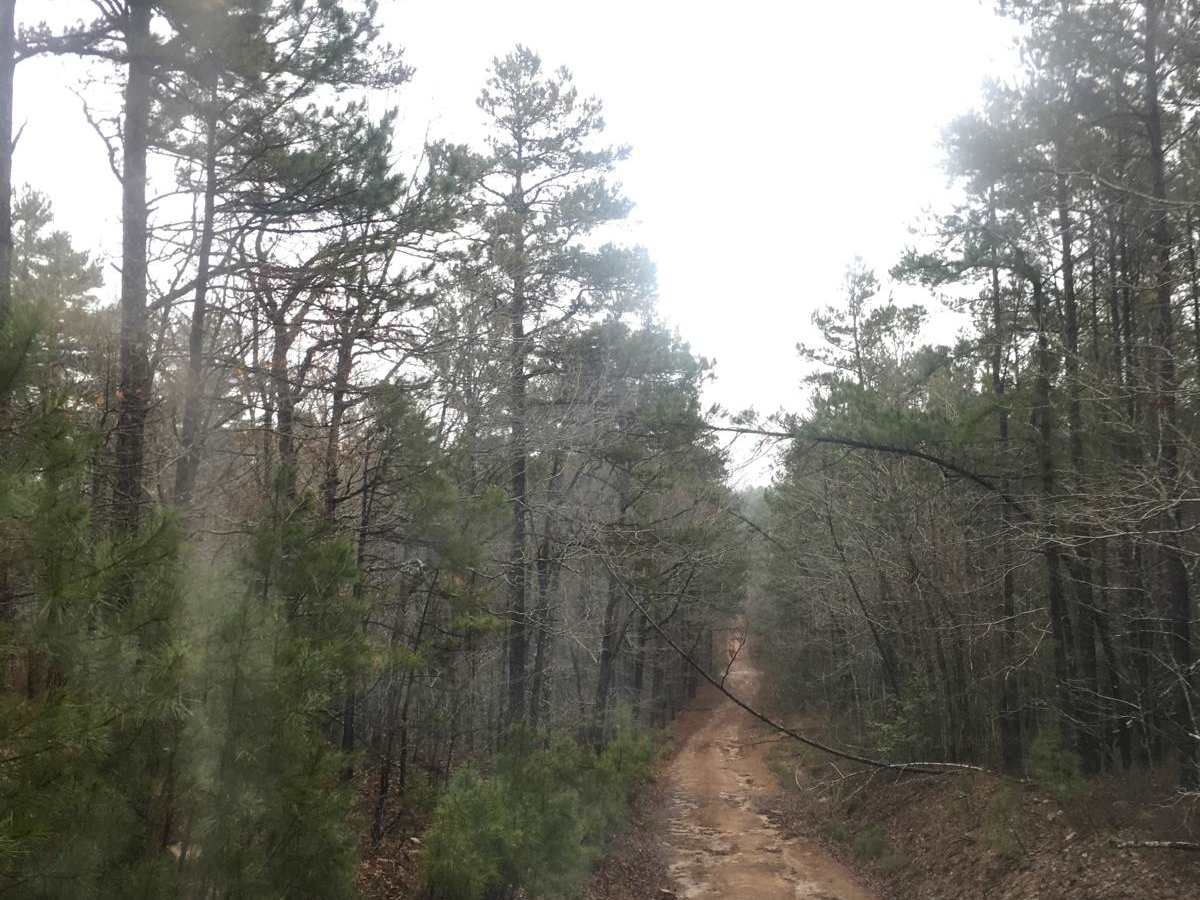 K-Trail photo 5