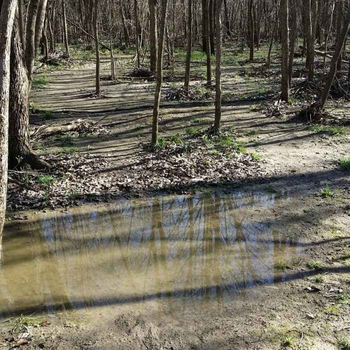 Near Bobcat Run