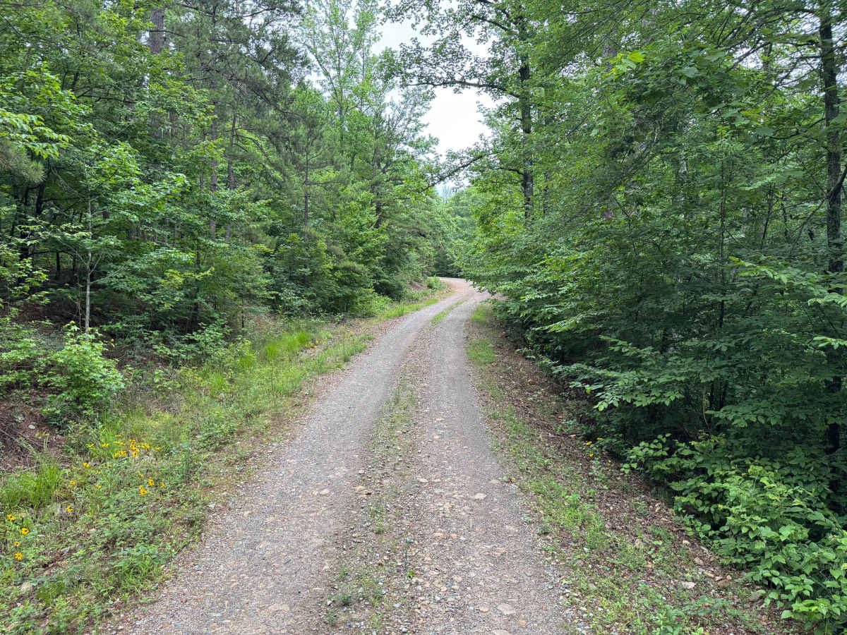 Muddy Creek photo 4