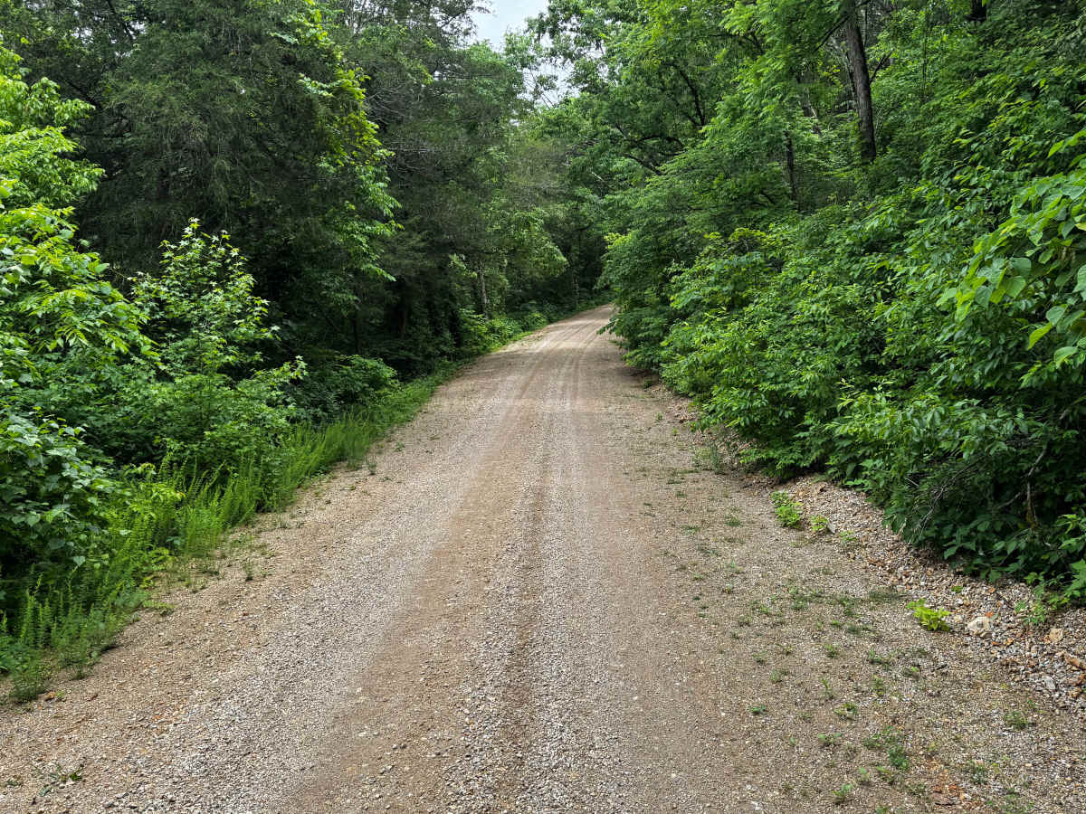 North Mill Creek photo 4