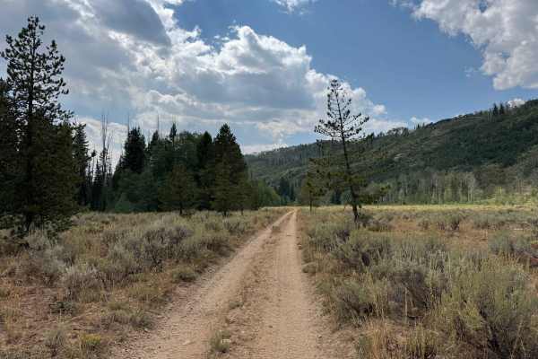Bowes Spur Road - FS 471.1B
