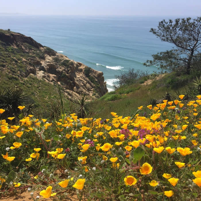 Near Guy Fleming Trail