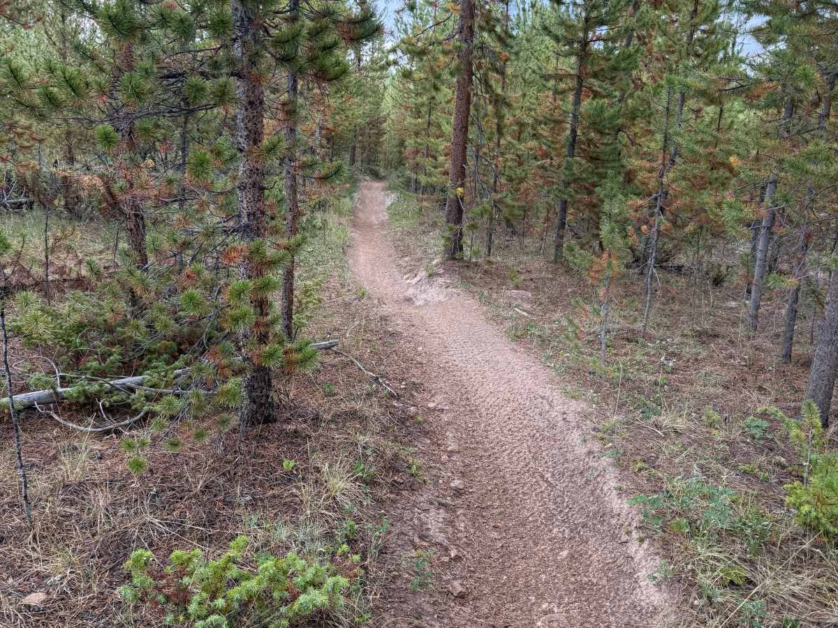 Parkview Creek Trail North photo 5