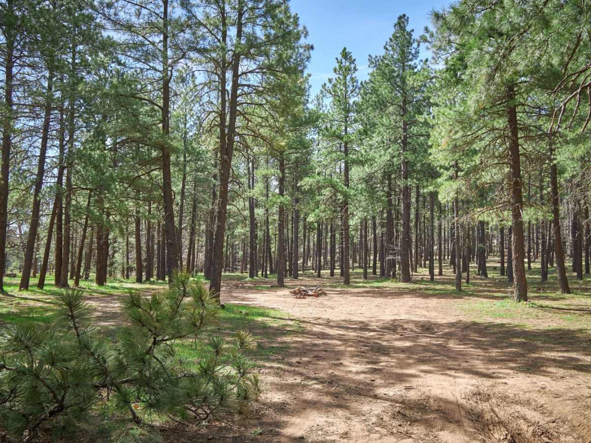 Casner Park photo 4