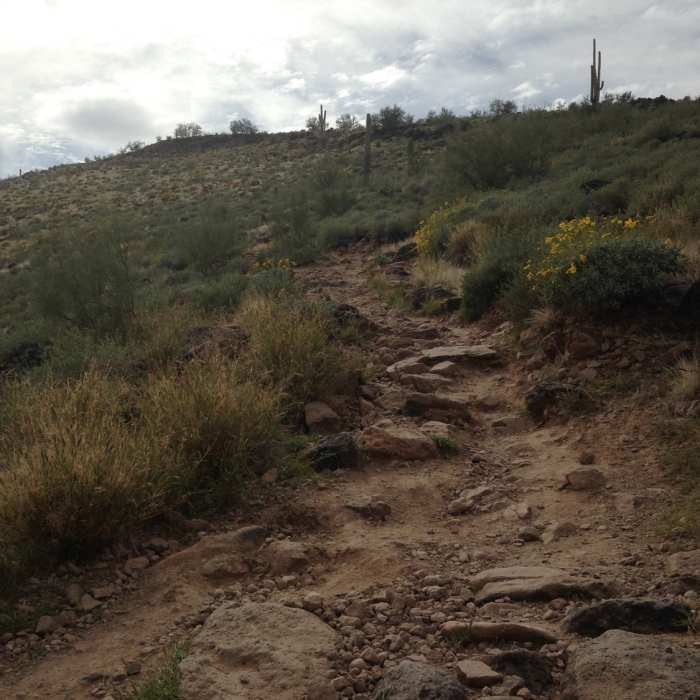 Near Deem Hills Circumference Trail