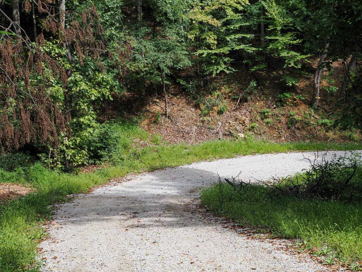 Mount Horeb Road photo 5