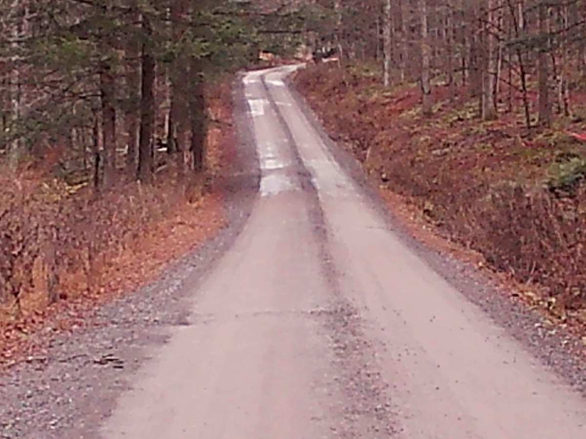 Brunnerdale Road photo 6
