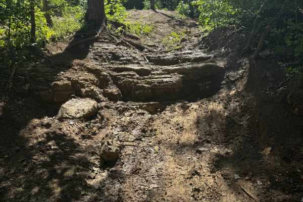 Mailbox HIll