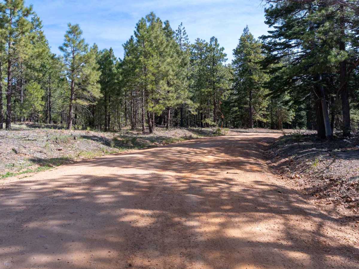 Knoll Lake - FS 295E photo 2