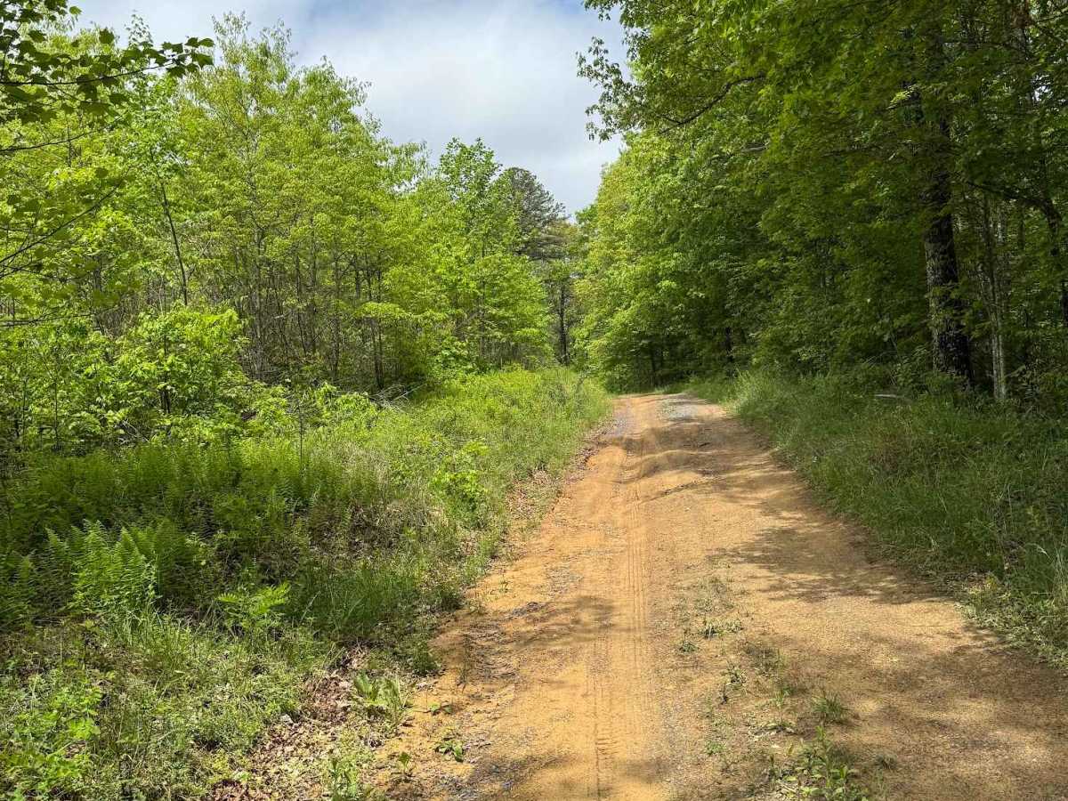 Hidden Valley Road photo 2