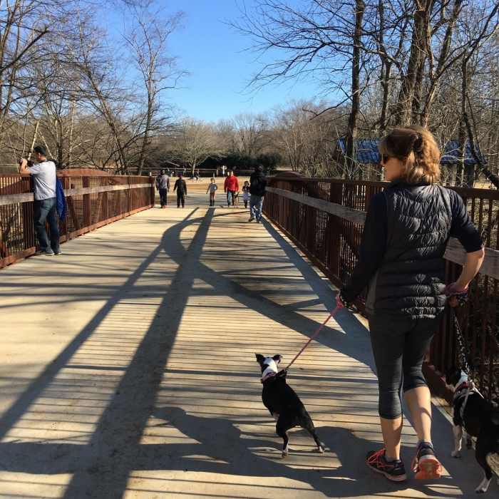 McAlpine Creek Greenway Near McAlpine Creek Loop