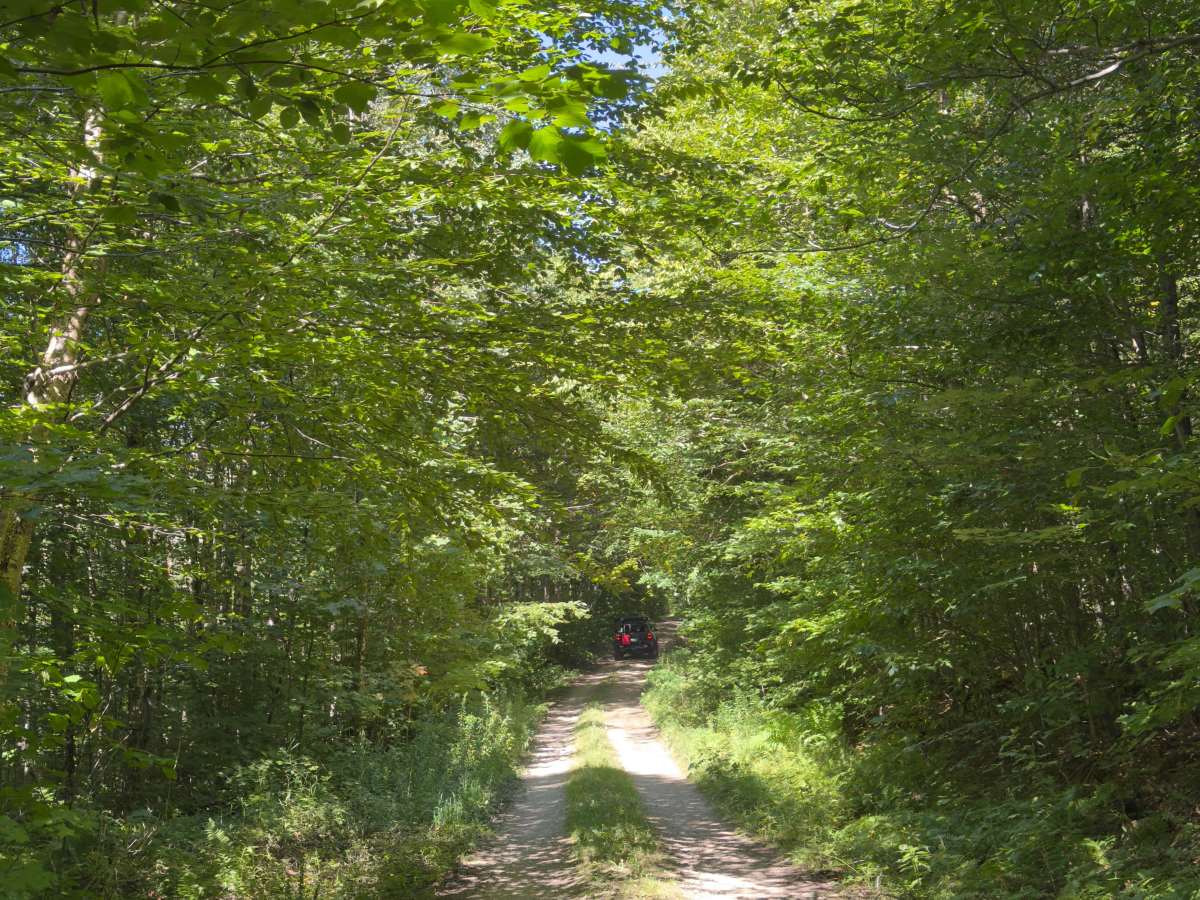 Rock City Road trail photo