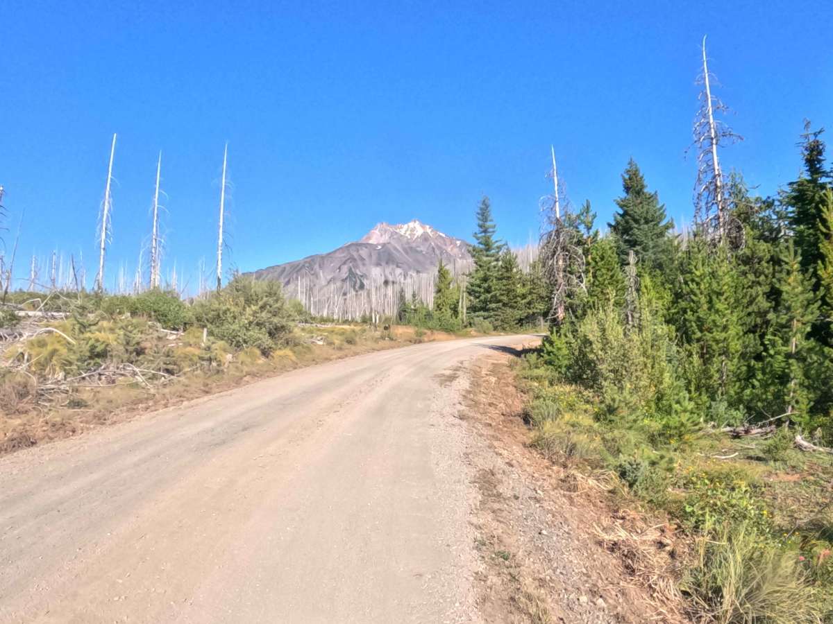 Woodpecker Ridge Rd - FS 2200040 trail photo
