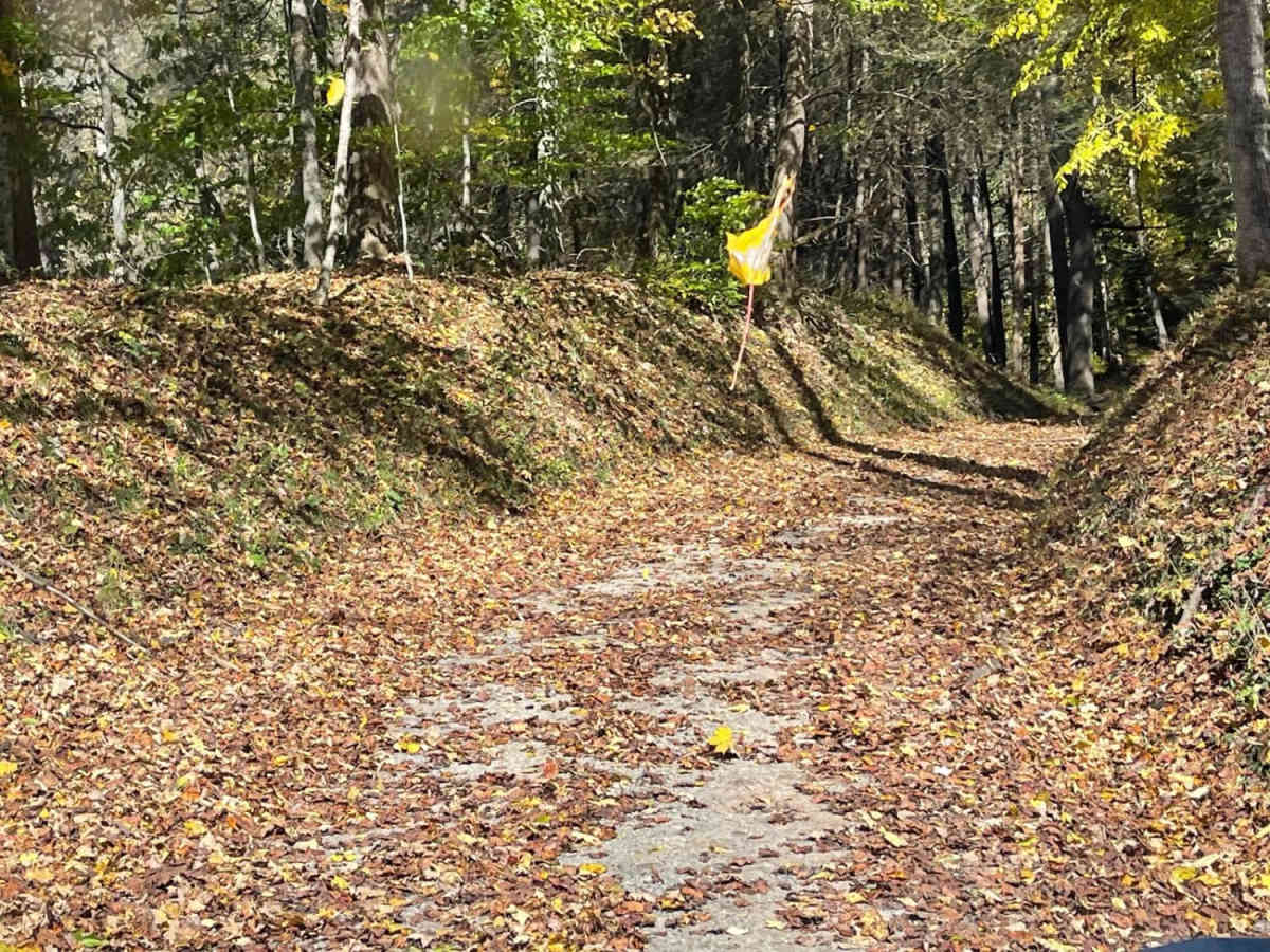 Parsons to Stone Lake Run photo 4