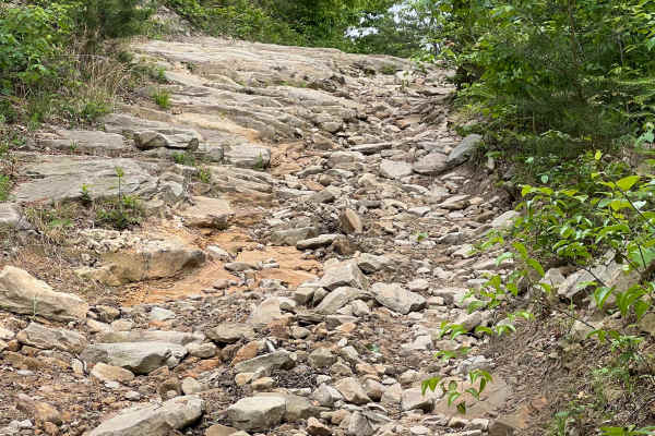 Counterfeit Branch Trail - Q64