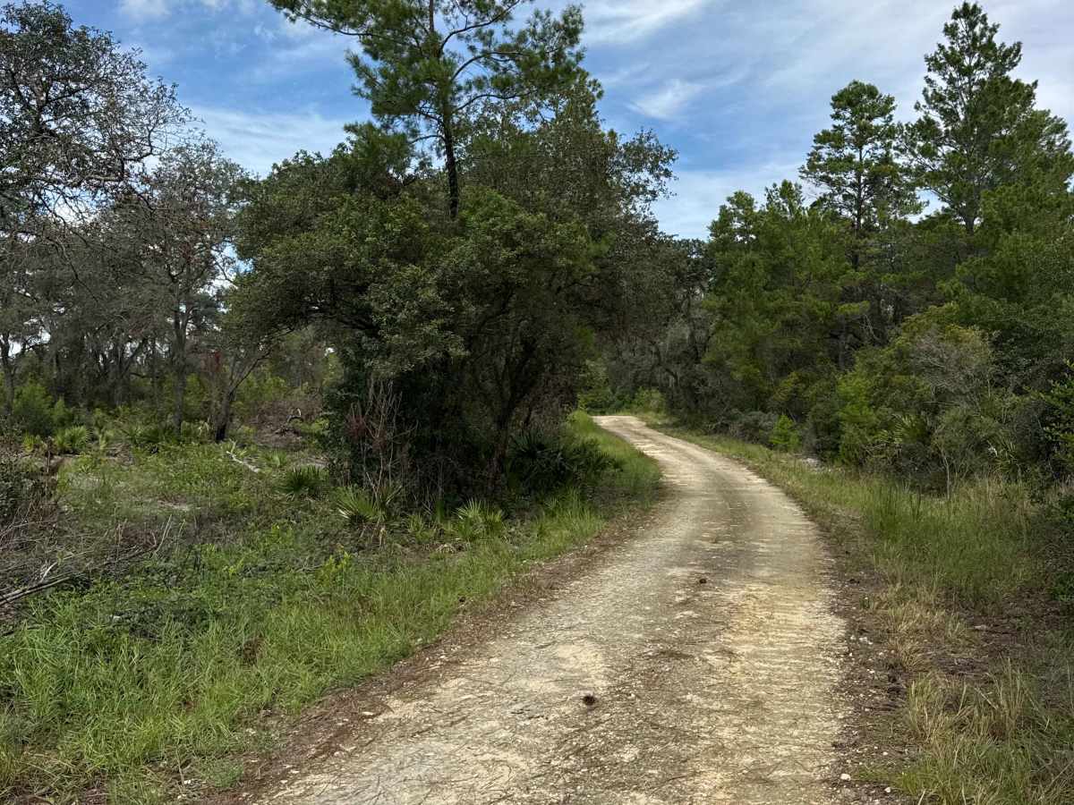 Scrub Road trail photo