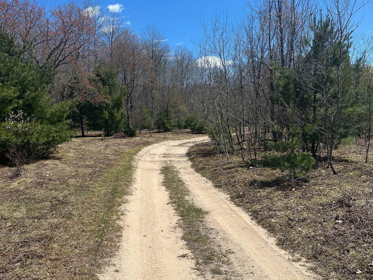 North Manistee River Loop photo 2