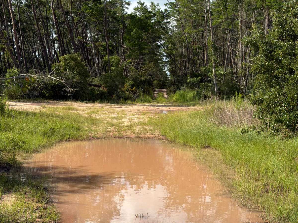 Lam Horse Trail - FS 22-2.8 photo 4