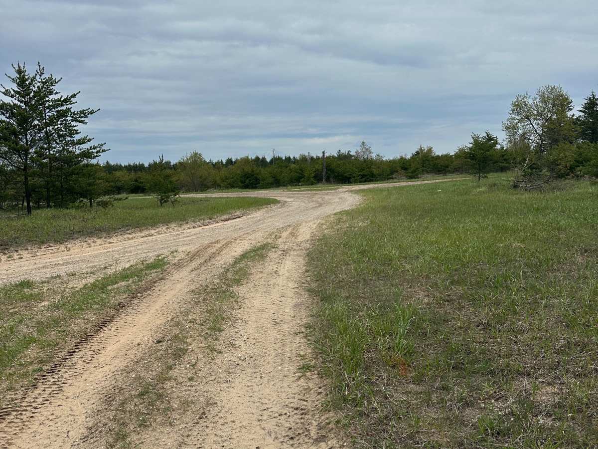 DR Cutover trail photo