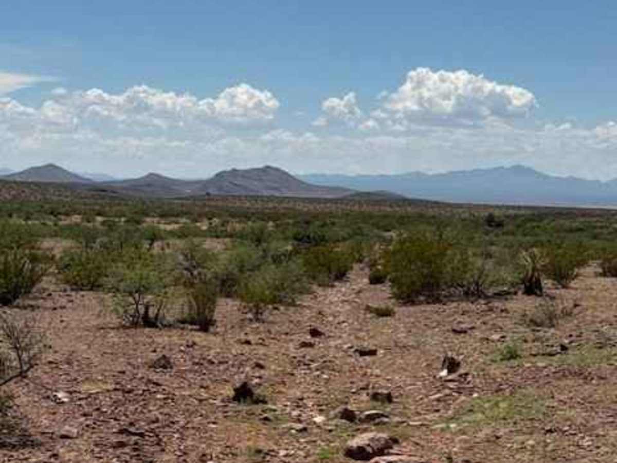 BLM PE1142 photo 5