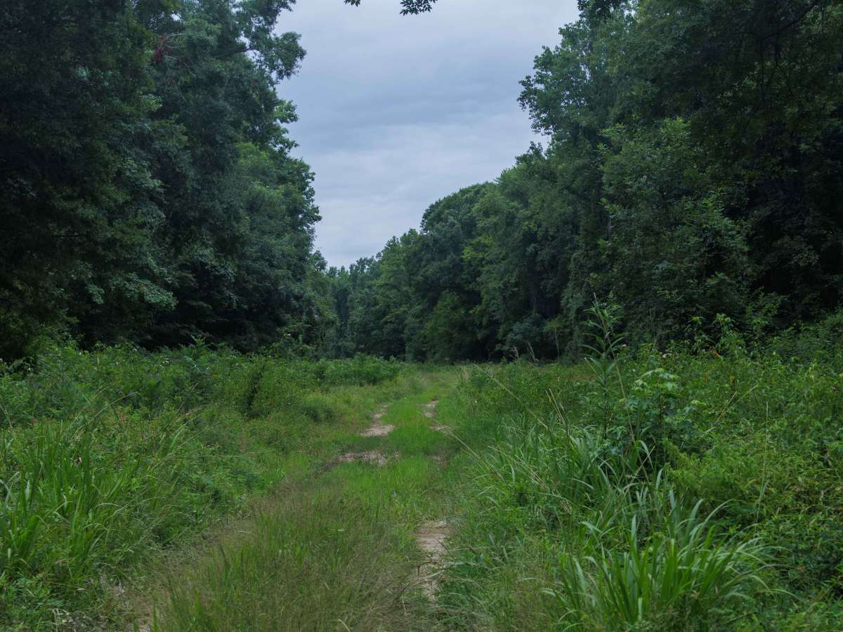 Briarpatch Lake Access photo 6