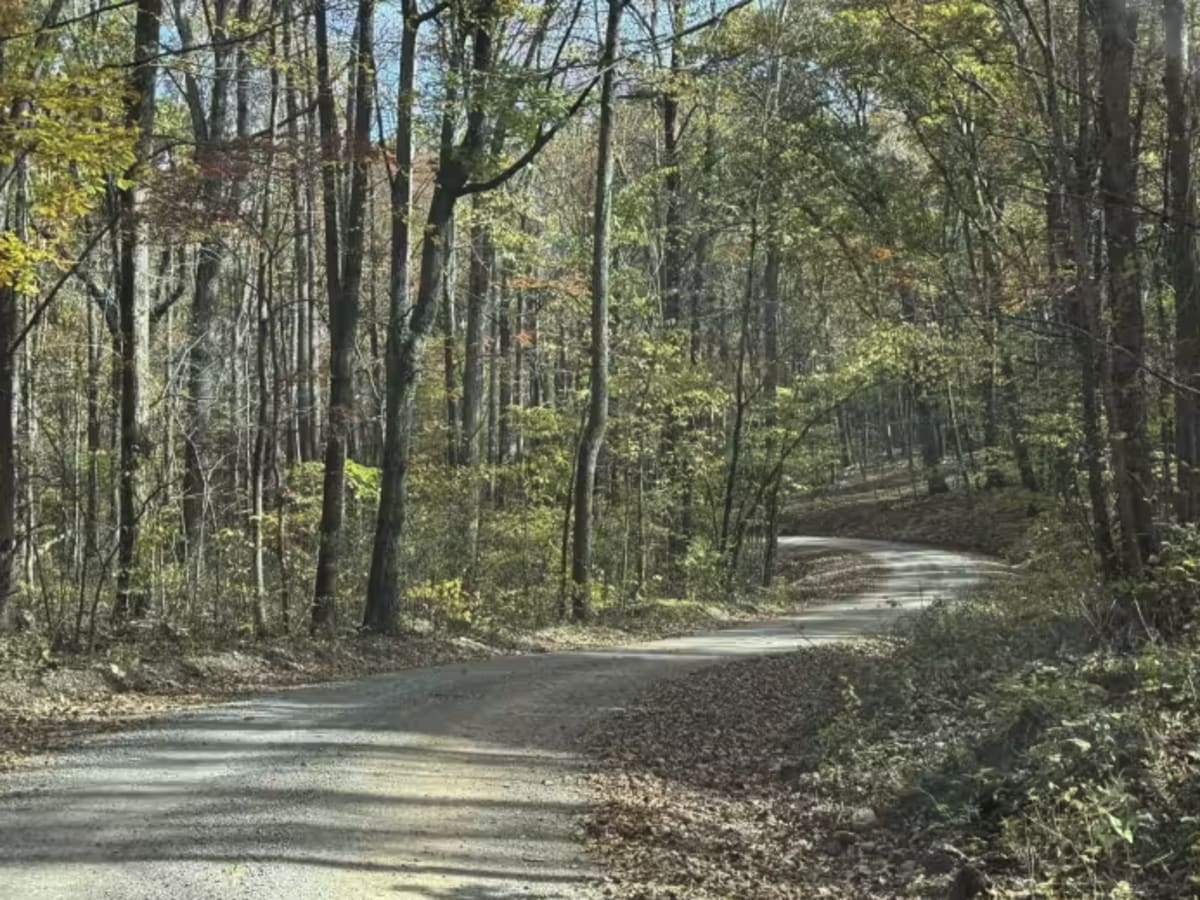 Little Irish Road - FS 311 photo 5