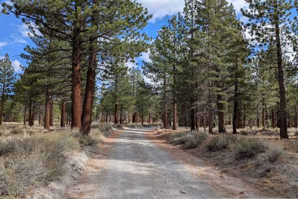 Crooked Meadow Road West