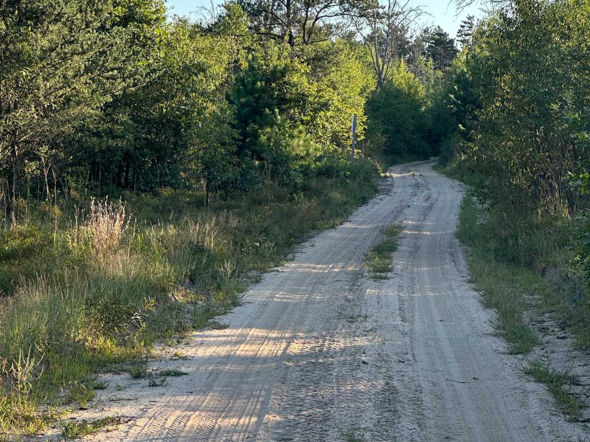 Dorr Road photo 2