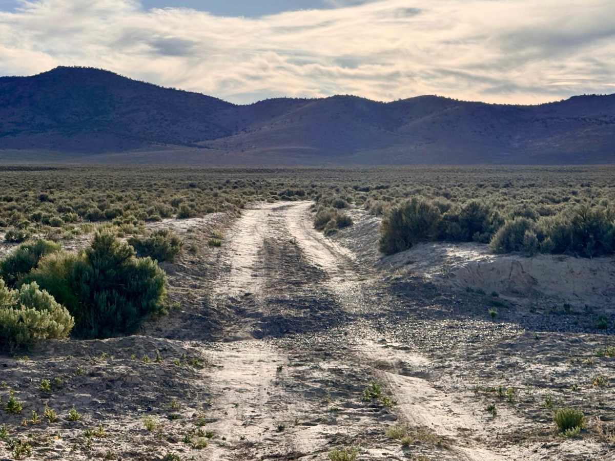 Grimes Ranch Road South photo 2