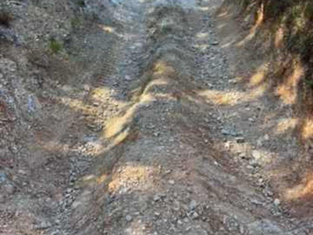 H37 photo 3