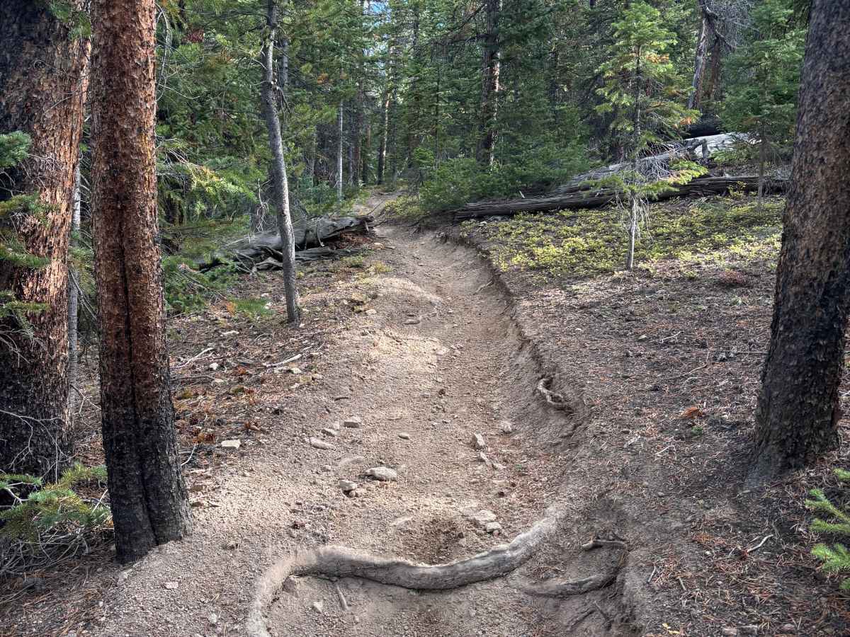 Fuller Trail photo 4