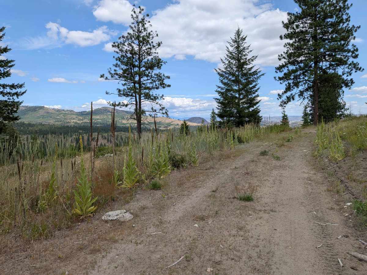 E332411T trail photo