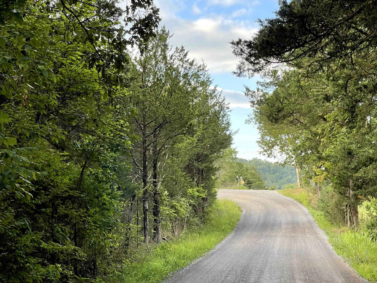 Martins Lane trail photo