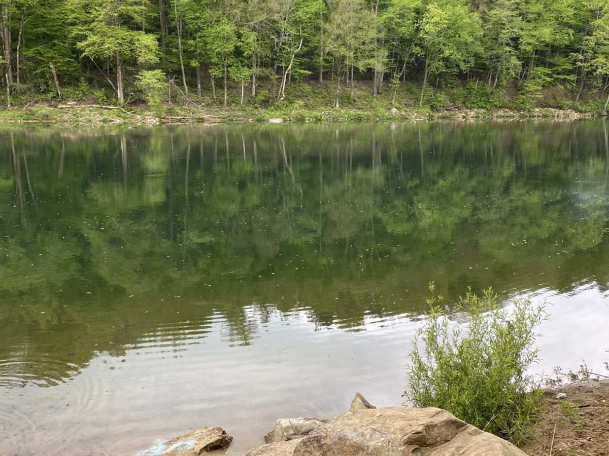 Nile Road to Gauley River trail photo