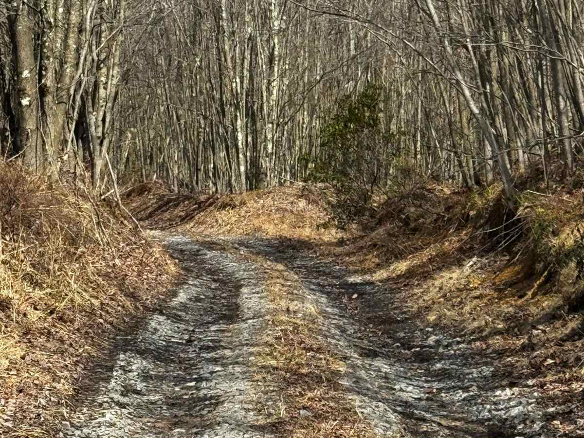 Pipe Line Drive photo 4