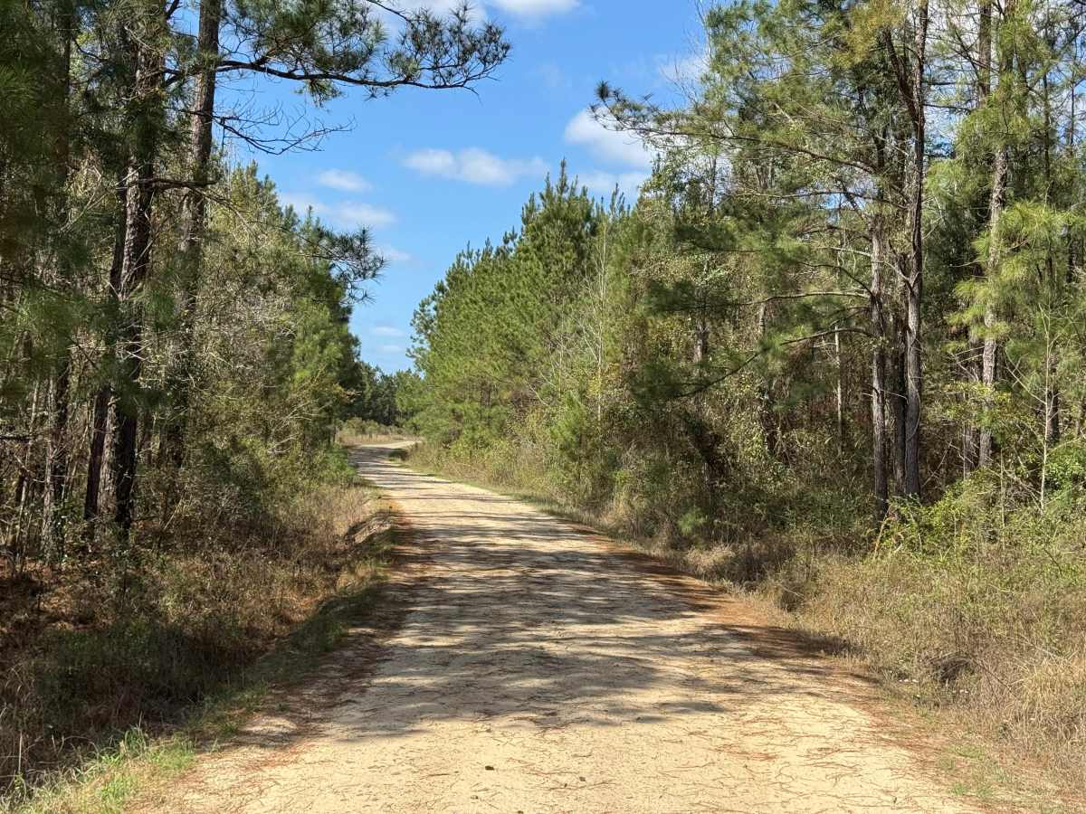 Blount's Crossing photo 6