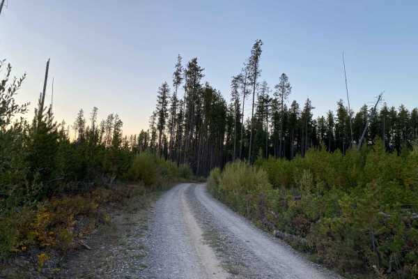 Inside North Fork Rd